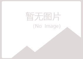 吴忠埋没音乐有限公司